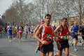 pino_0482