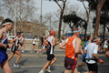 pino_0526