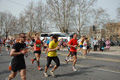 pino_0533