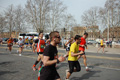 pino_0534