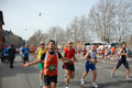 pino_0538