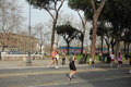 pino_0546