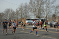 pino_0560