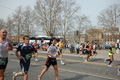 pino_0562