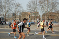 pino_0564