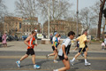 pino_0565