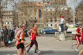 pino_0578