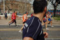 pino_0580