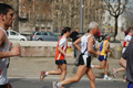 pino_0585