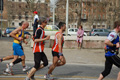 pino_0592