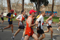 pino_0618