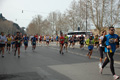 pino_0623