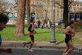 pino_0631