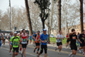 pino_0632