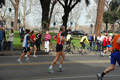 pino_0644