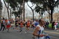 pino_0654