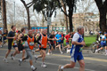 pino_0655