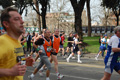 pino_0656