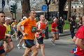 pino_0663