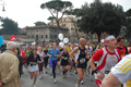 pino_0677