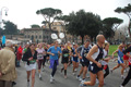 pino_0678