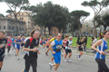 pino_0686