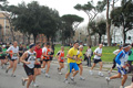 pino_0694