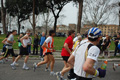 pino_0697