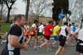 pino_0698