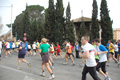 pino_0722