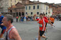 pino_0748