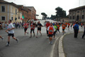pino_0760