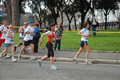 pino_0774