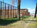 ciani_4557