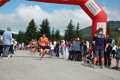 speatapino_0733