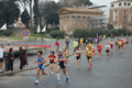 pino_0033