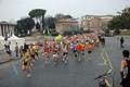 pino_0066