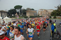 pino_0165