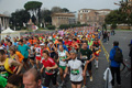 pino_0196