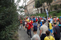 pino_0352