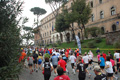 pino_0358