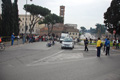 pino_0378