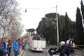 pino_0386