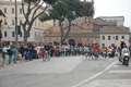 pino_0391
