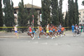 pino_0397
