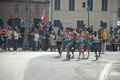 pino_0398