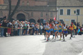 pino_0400