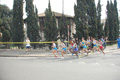 pino_0406