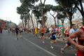 pino_0449