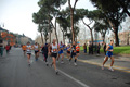 pino_0451